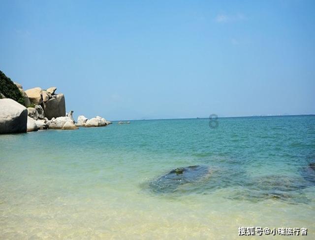红色鹦鹉逃脱