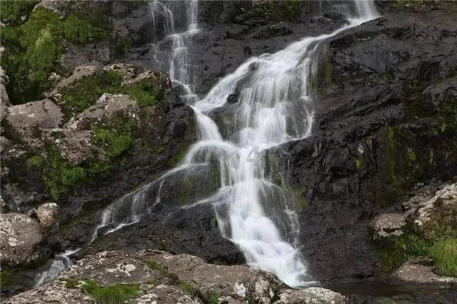 王诗龄写真大片遭吐槽，被指精致土气，网友：无缘娱乐圈？